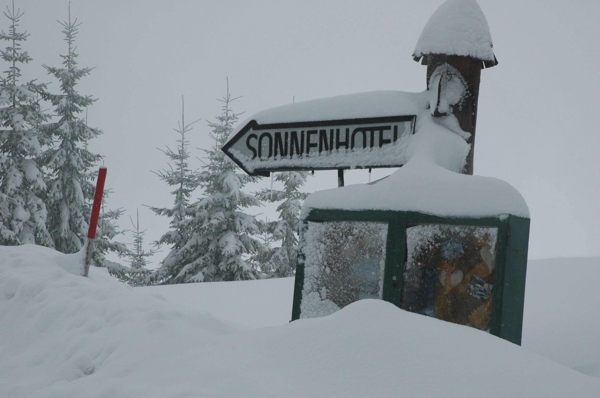 Sonnenhotel Zaubek Treffen Extérieur photo